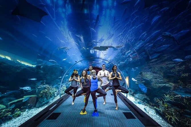 Dubai Aquarium & Underwater Zoo Ticket Price